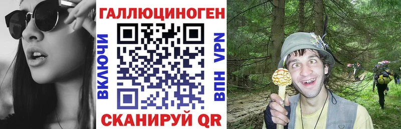 Галлюциногенные грибы Cubensis  Рыбное 